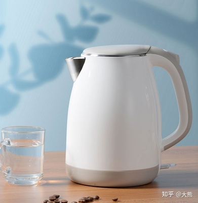 2021电热水壶选购指南 家用热水壶品牌推荐与高性价比款式盘点（双十二更新）